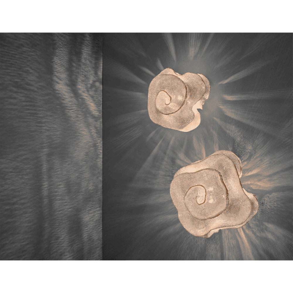 aplique nevo pqueña